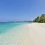 playa y vegetación en Safari Island Resort & Spa Maldives