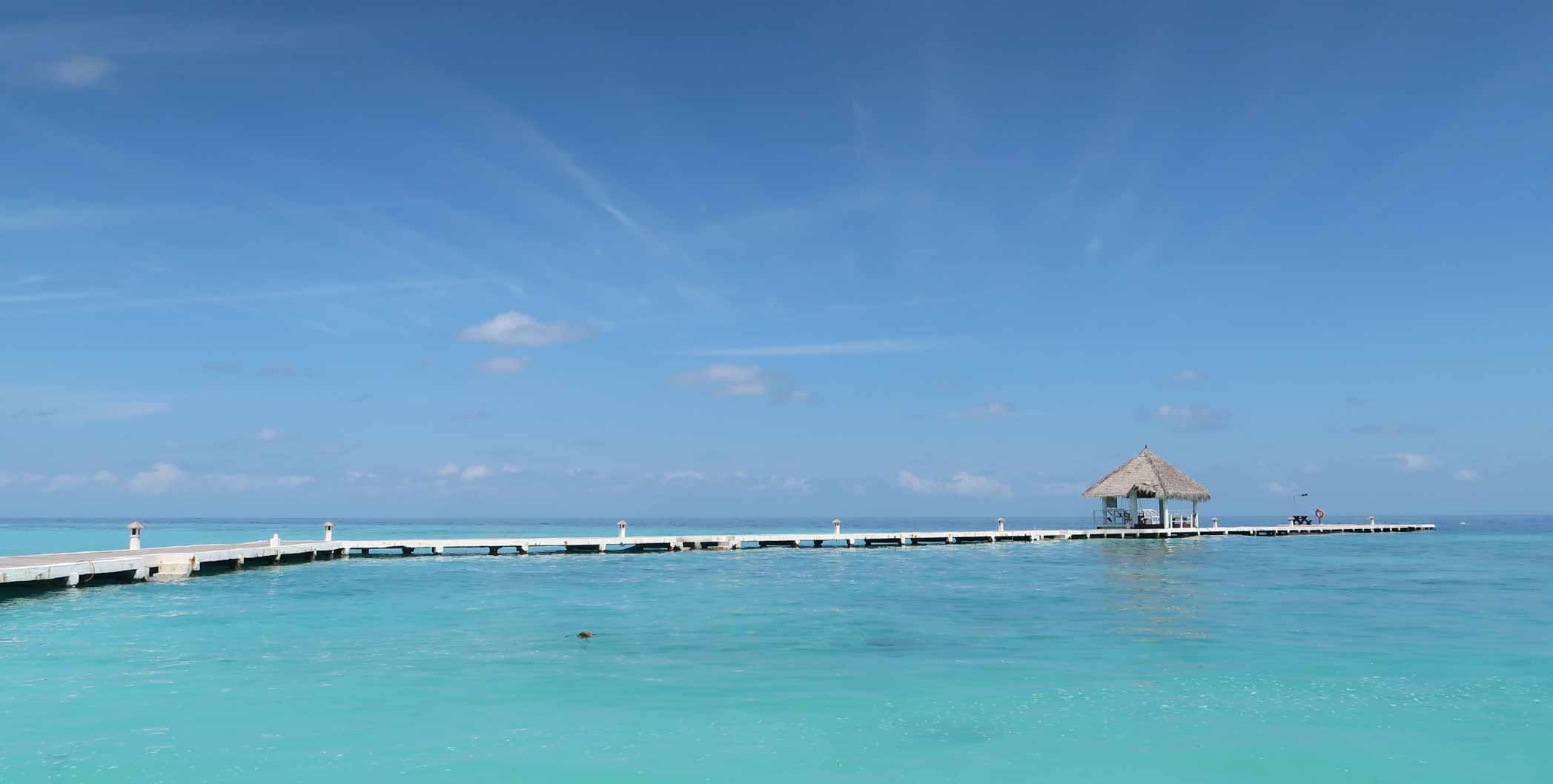 Eriyadu Island Resort Maldives - arenatours.com