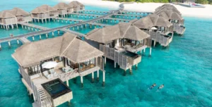Ja Man - arenatours.com - JA Manafaruja
