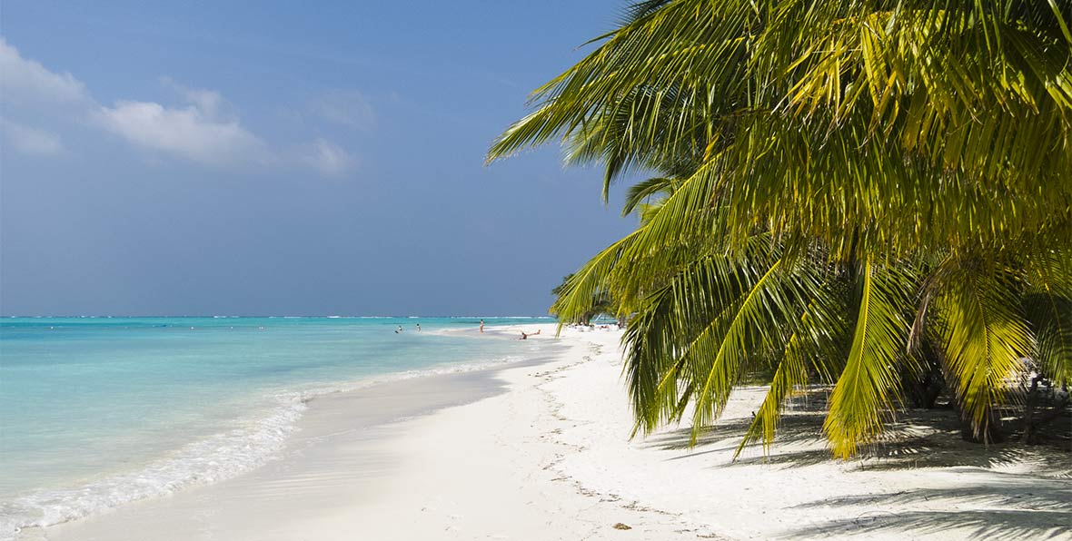 spiaggia e vegetazione del Meeru Island Resort & Spa