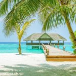 Palm Beach Island Resort Spa Maldives - arenatours.com