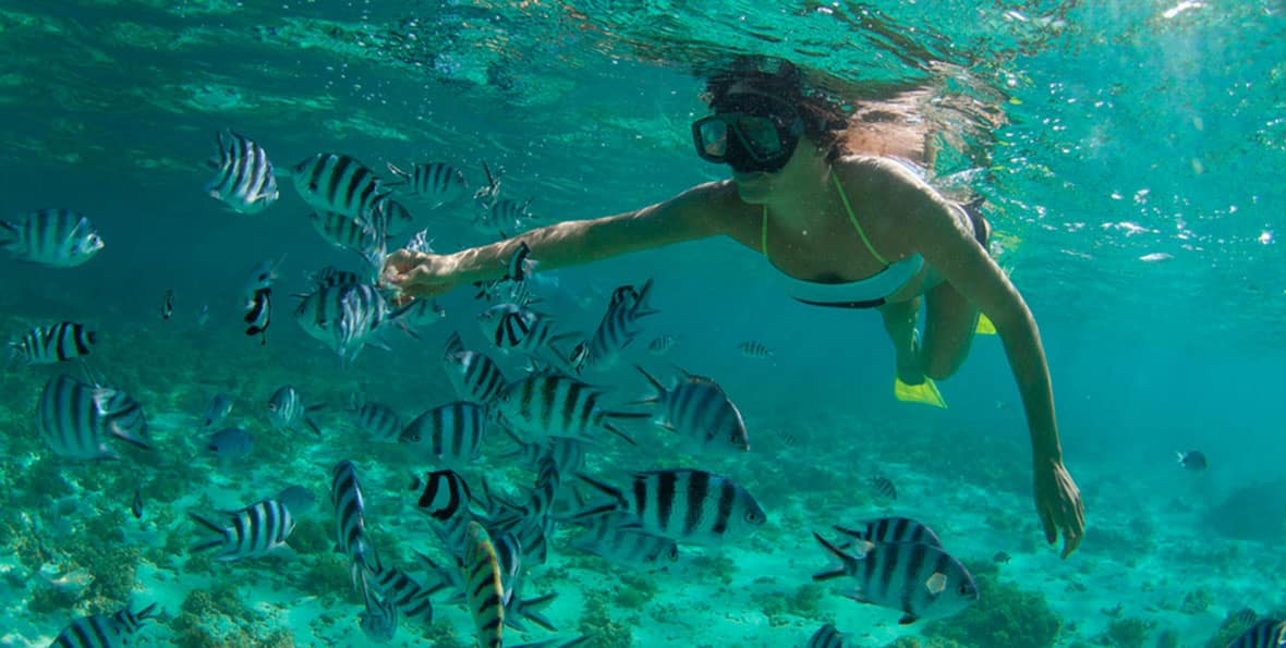 Woman Snorkelling In The Indian Ocean Mauritius Source Shutterstock - arenatours.com