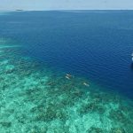 Cocoon Maldives Dji - arenatours.com