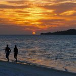 Cocoon Maldives Maldive Dsc - arenatours.com