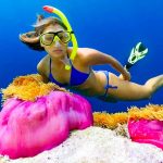 Cocoon Maldives Snorkeling - arenatours.com