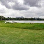 Amayal Lake Dambulla - arenatours.com