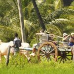 Hiriwadunna Sri Lanka - arenatours.com