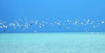 Hotel Maldives Eco Conservation Center - arenatours.com