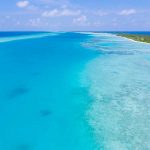 playa oceano y vegetación en Kandima Maldives