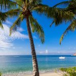 palmeras y playa en Kempinski Seychelles