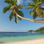 playa y palmeras en Kempinski Seychelles