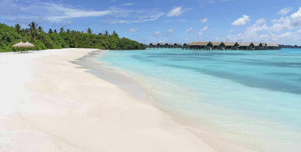 playa y vegetación en Shangri-La's Villingili Maldives