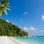 playa con palmera en Six Senses Seychelles