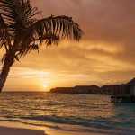 Baglioni Resort Maldives, palmera al atardecer