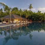 piscina y palmeras en The Residence Maldives at Dhigurah