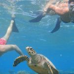 snorkelinbg con tortuga en Fihalhohi Island Resort