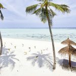 palmeras, sombrillas y playa en Riu Atoll Maldives