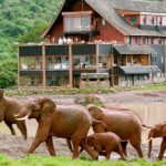 The Ark Lodge Aberdare National Park Kenia - arenatours.com