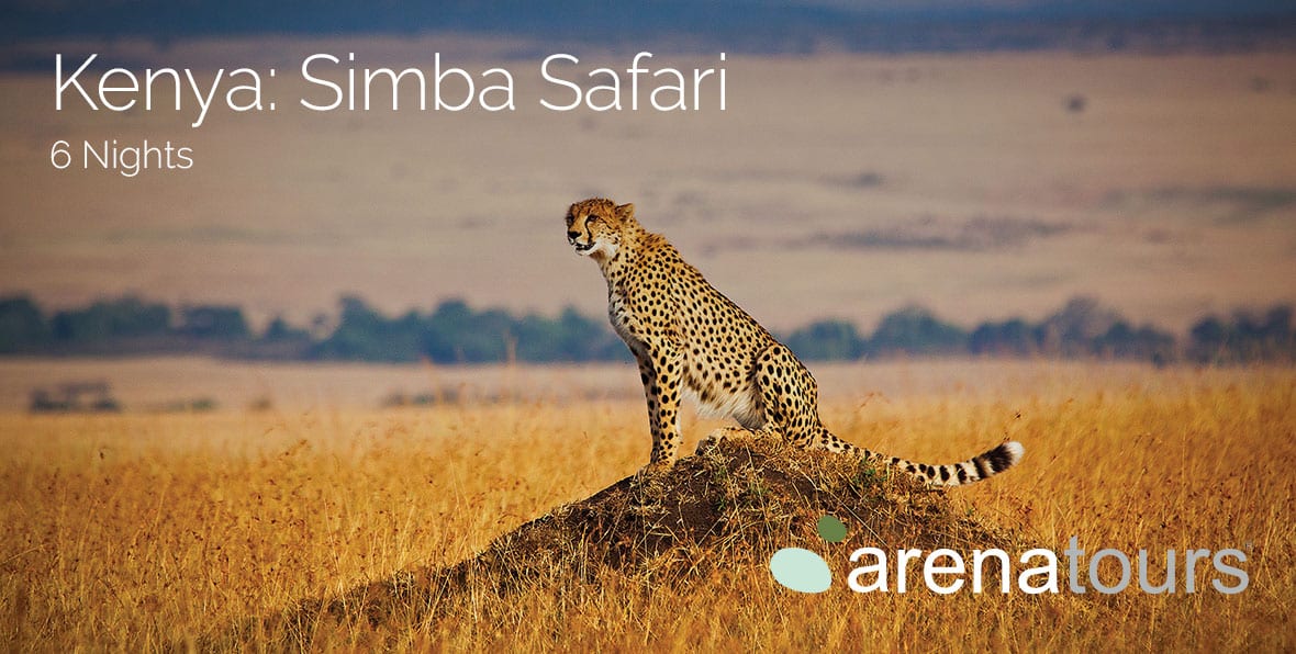 Viaje Africa Kenia Safari Simba Img Gallery - arenastours.com -