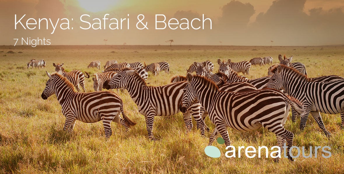 Viaje Africa Safari Kenia Playa Img Gallery - arenastours.com -