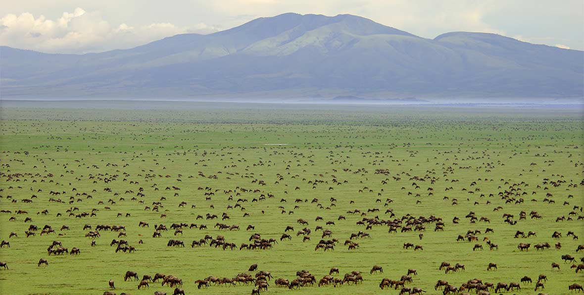 Viajes Africa Tanzania Panorama - arenatours.com
