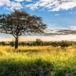 Angata Serengeti Camp Tanzania - arenatours.com