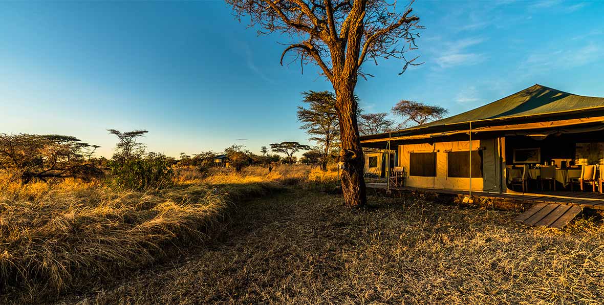 Ang'ata Serengeti Camp