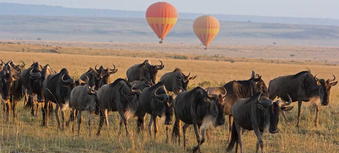 Kenia: Safari en globo en Masai Mara al amanecer con desayuno
