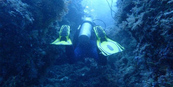 Hondaafushi Island Resort Diving X - arenatours.com