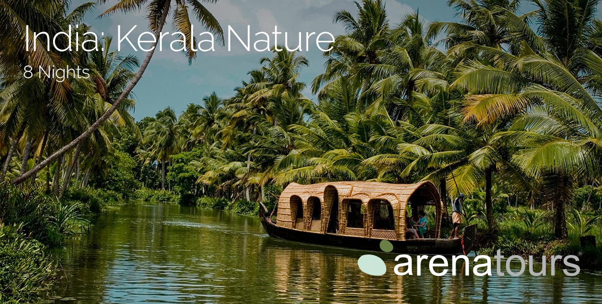 Viaje A India Tour Kerala N Img Gallery - arenatours.com