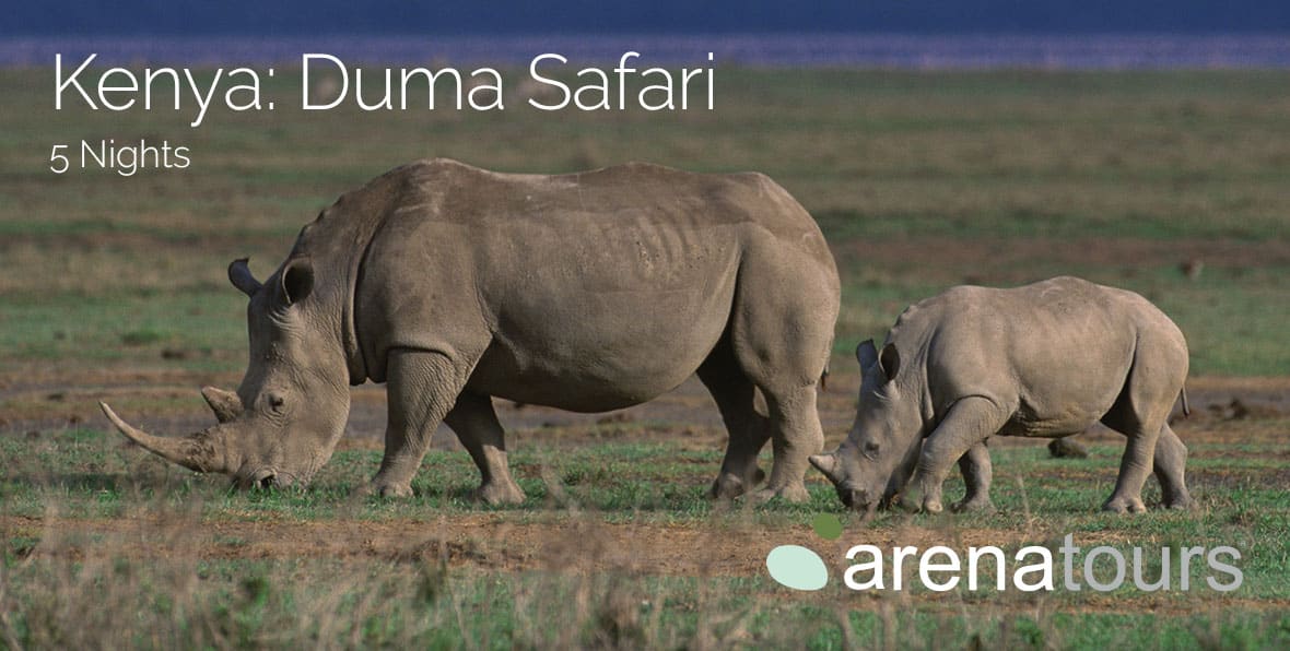 Viaje Africa Safari Kenia Duma Img Gallery - arenastours.com -
