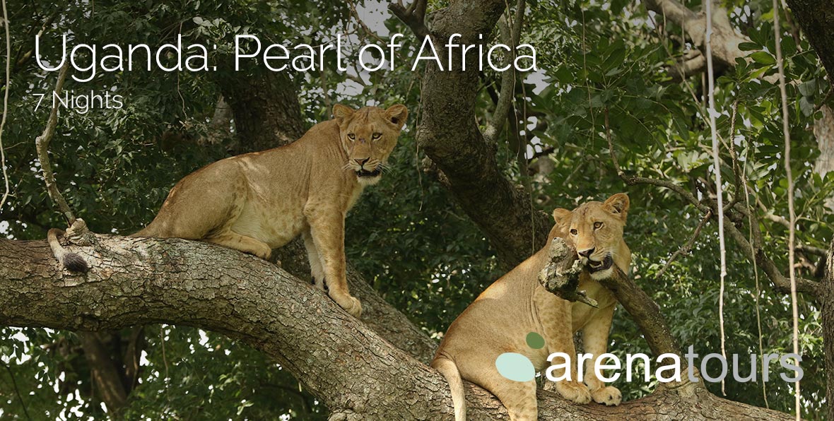 Viaje Africa Safari Uganda Pearl Img Gallery - arenatours.com