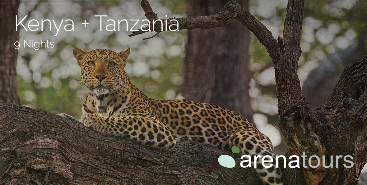 Viaje Kenia Tanzania Safari Img Gallery - arenastours.com -