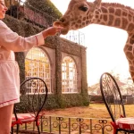 Giraffe Manor - arenatours.com -