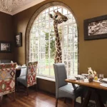 Giraffe Manor - arenatours.com -