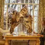 Giraffe Manor - arenatours.com -