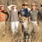 Sudafrica Chisomo Camp - arenatours.com