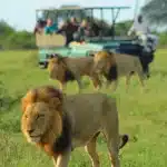 Sudafrica Lukimbi Lodge - arenatours.com -