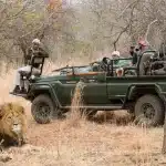 Sudafrica Shiduli Lodge - arenatours.com -