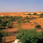 Al Maha Luxury Collection Resort Camp - arenatours.com -