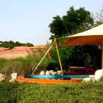 Al Maha Luxury Collection Resort Camp - arenatours.com -