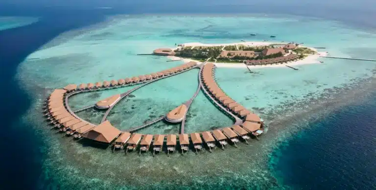 Cinnamon Velifushi