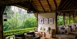 Sanctuary - arenatours.com -