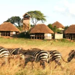 Apoka Safari Lounge - arenatours.com -