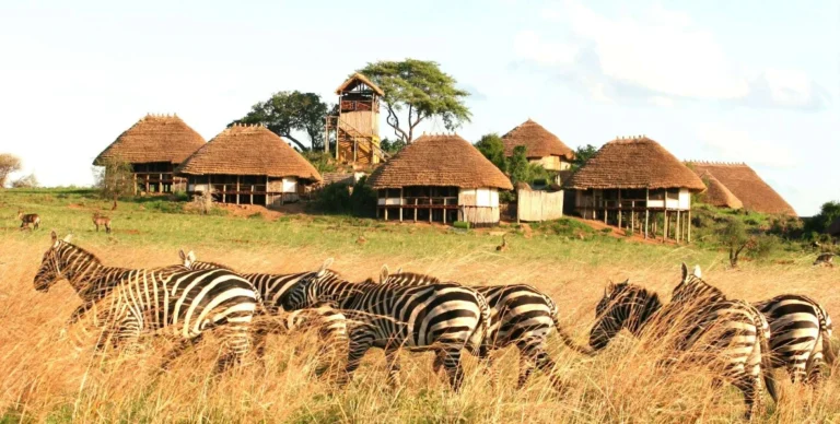 Apoka Safari Lodge