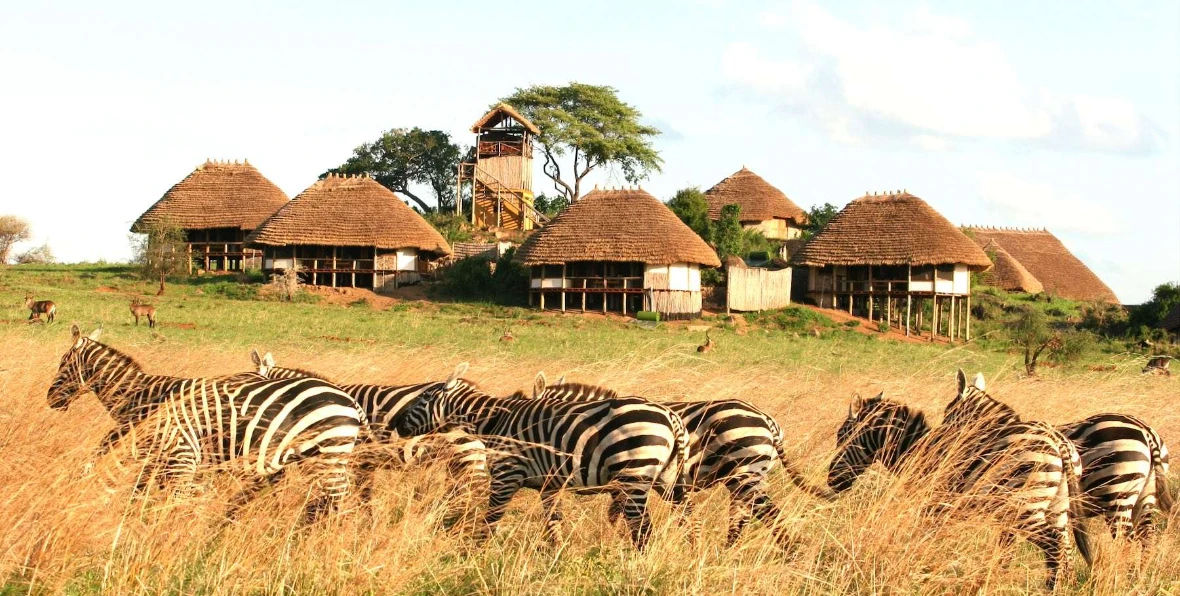 Apoka Safari Lounge - arenatours.com -