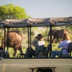 Apoka Safari Lounge - arenatours.com -