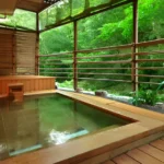 Hotel Iwaso - arenatours.com -