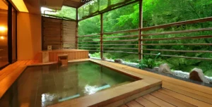 Hotel Iwaso - arenatours.com -