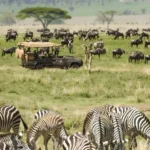 One Nature Nyaruswiga - arenatours.com -